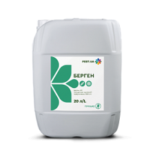Берген 20 л