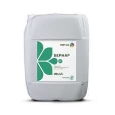 Бернар 20 л